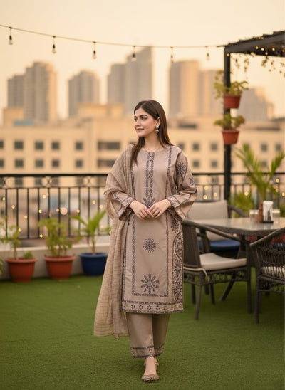 Dhanak 3 Piece Embroidered Dress -260