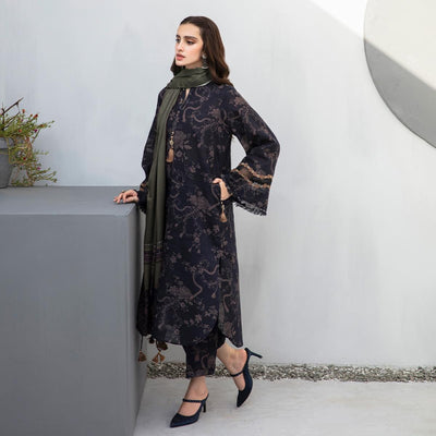 Karandi Printed 3 Piece Dress - 13