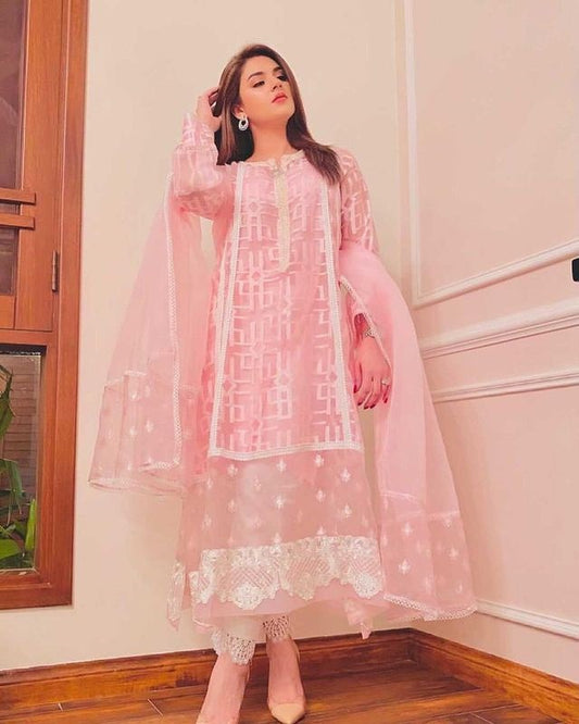 Organza 3 Piece Embroidered Dress - 156