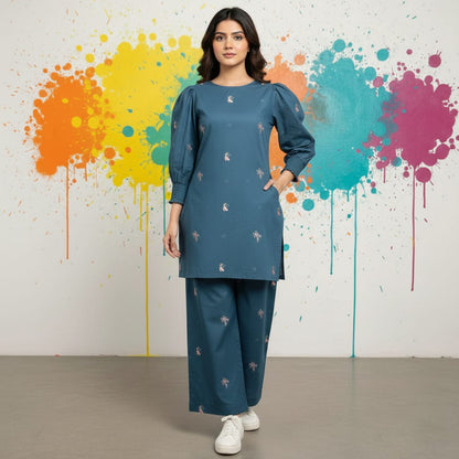 Dhanak 2pc Winter Embroidered Dress - 447
