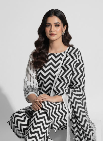 Karandi 3 Piece Printed Dress - 395