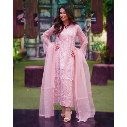 Organza 3 Piece Embroidered Dress - 118