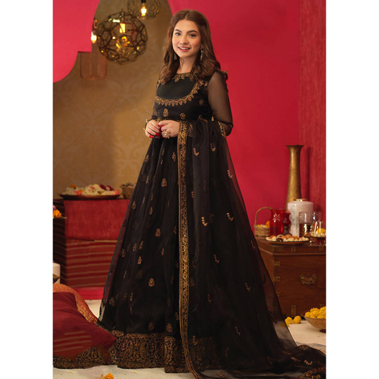 Organza  3 Piece Embroidered Frock - 56