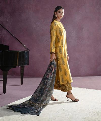 Dhanak 3 Piece Embroidered Dress - 255
