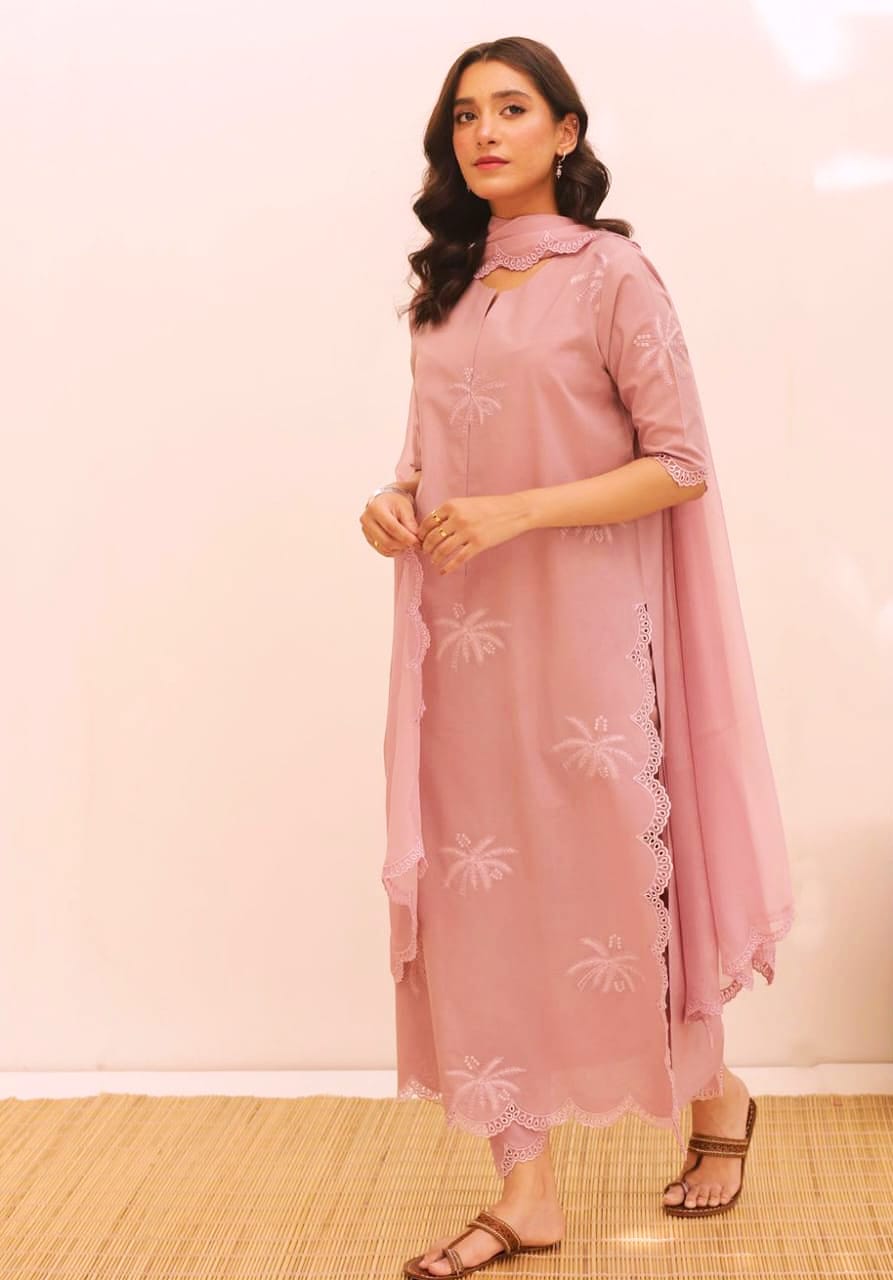 Dhanak 3 Piece Embroidered Dress - 257