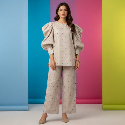 Dhanak 2pc Winter Embroidered Dress - 448
