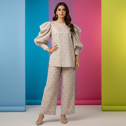 Dhanak 2pc Winter Embroidered Dress - 448