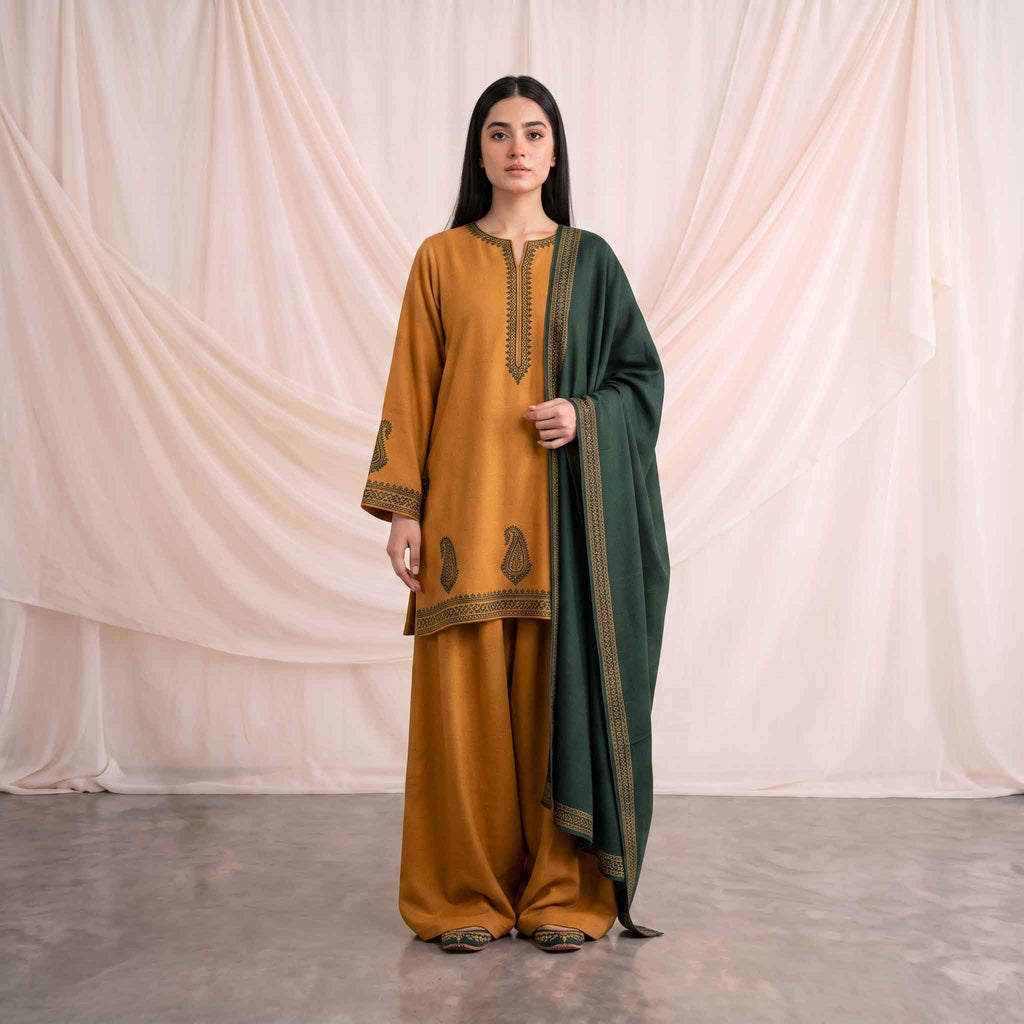 Winter Stitched 3PC Dhanak Embroidered Suit - TW 23